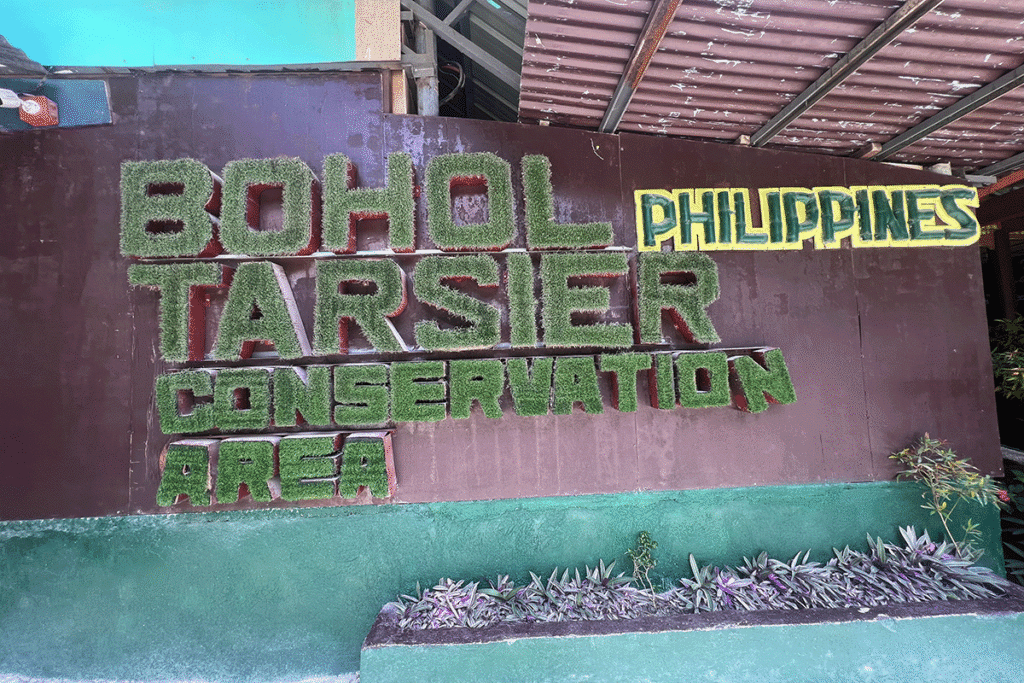 Dating in Bohol